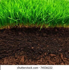 Healthy Grass And Soil Pattern