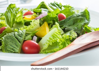 Healthy Green Salad White Plate