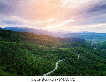 Healthy Green Trees In A Forest Of Old Spruce, Fir And Pine Trees In Wilderness Of A National Park. Sustainable Industry, Ecosystem And Healthy Environment Concepts And Background. Aerial View.