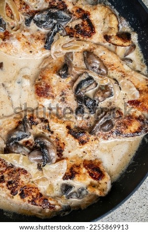 Healthy home made delicious chicken meat cooked with fresh mushrooms, onion and herbs, keto food,
