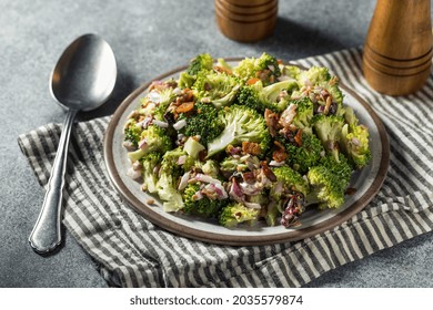 Healthy Homemade Broccoli Salad with Bacon and Onions - Shutterstock ID 2035579874