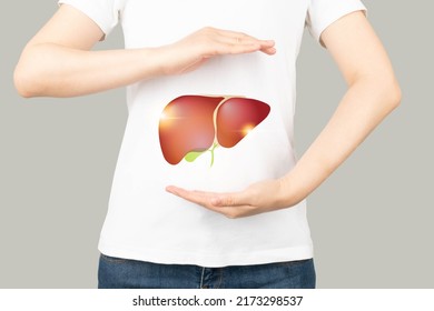 Healthy human liver and gallbladder anatomy between two palms. Protecting against liver disease and organ donation concept. - Shutterstock ID 2173298537