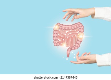 Healthy Intestine Anatomy On Doctor Hands. Concept Of Healthy Bowel Digestion, Colon Cancer Screening, Intestinal Disease Treatment Or Colorectal Cancer Awareness.