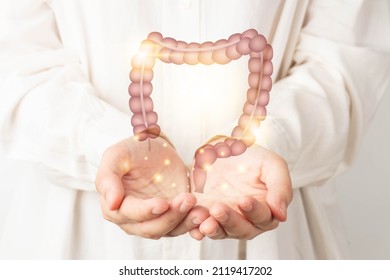 Healthy Large Intestine Anatomy On Doctor Hands. Concept Of Healthy Bowel Digestion, Colon Cancer Screening, Intestinal Disease Treatment Or Colorectal Cancer Awareness.