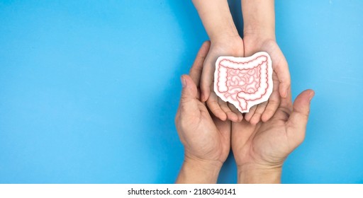 Healthy large intestine holding hand adult and child family.
Concept of intestinal disease treatment or colorectal cancer awareness. - Shutterstock ID 2180340141
