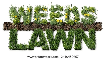 Healthy Lawn And Weeds as grass pest plants as dandelion with clover and crab grass pest weed control problem as unwanted plants representing herbicide use in the garden and weed control.