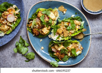 Healthy Lettuce Wrap With Vegetables, Tofu And Peanut Sauce