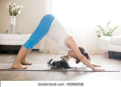 Healthy lifestyle concept. Pregnancy Yoga and Fitness. Young pregnant yoga woman kissing cute small dog while working out in living room. Pregnant model doing prenatal downward-facing dog at home