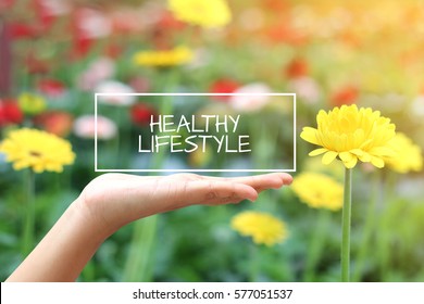 Healthy Lifestyle Word On The White Box. Concept Hand With Natural Background