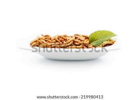 Healthy mealworms on white plate with decoration. Food of the future. Mealworms are healthy and tasty. Nowadays mainly used in asian kitchens and by enthusiasts in the western world.
