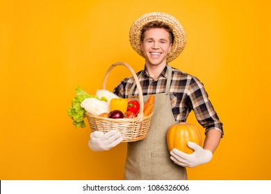 Healthy nutrition healthcare assortment bag crop field festival season crate produce fresh rustic environment people person concept. Portrait of glad farmer with food with hands isolated on background - Powered by Shutterstock