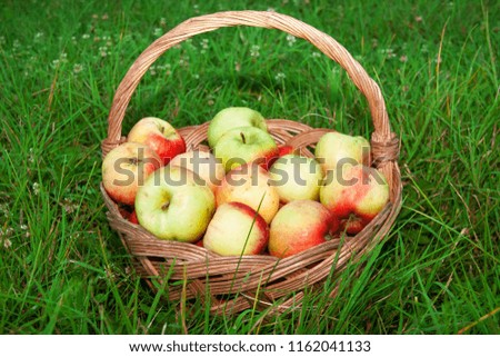 Similar – Image, Stock Photo Fruit orchard