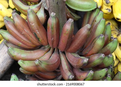 Healthy Raw Banana Bunch Stock On Shop For Sell