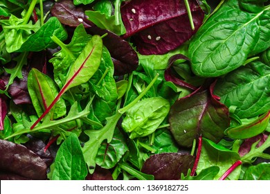 Healthy salad, leaves mix salad (mix micro greens, juicy snack). food background - Image - Shutterstock ID 1369182725