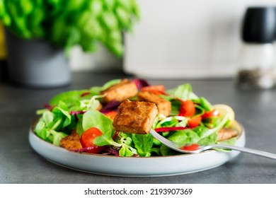 Healthy Salad With Roasted Tempeh, Fresh Cherry Tomatos, Beetroot Straws, Spinash And Lettuce Leaves On Plate. Tempeh Is Fermented Soy Bean. Plant Based Protein. Healthy Cooking And Eating. Go Vegan