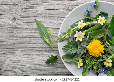 Healthy spring food ingredients. Dandelion, wild garlic and nettle in plate