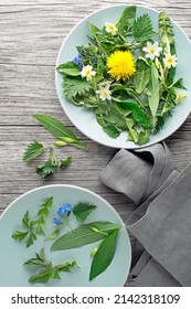 Healthy Spring Plants For Food Ingredients. Dandelion, Wild Garlic, Flowers And Nettle Background