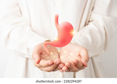 Healthy stomach organ hologram on human hands. Concept of gastric cancer screening, stomach transplant, digestive tract problem and stomach disease treatment. - Shutterstock ID 2182294187