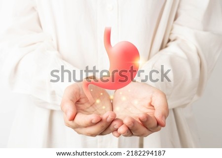 Healthy stomach organ hologram on human hands. Concept of gastric cancer screening, stomach transplant, digestive tract problem and stomach disease treatment.