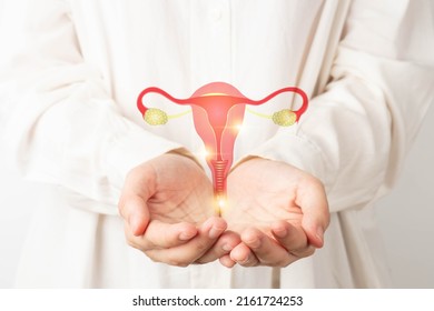 Healthy Uterus And Ovaries Anatomy On Doctor Hands. Awareness Of Women Health Care Such As Endometriosis Disease, PCOS, STDs, Ovarian Or Cervical Cancer Screening. Gynecology And Reproductive System.