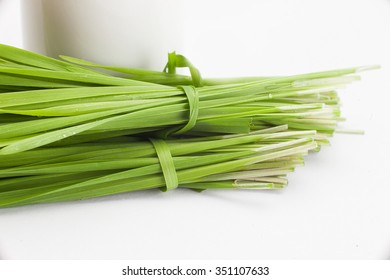 Healthy Way Of Life. Energy From Nature. Ecological Wheat-grass Juice. Regenerate Your Cells  Stop Ageing Processes And Detoxicate Your Body. High Key Isolated On White.