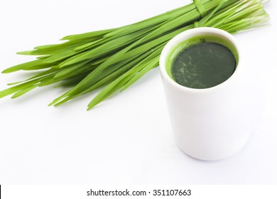 Healthy Way Of Life. Energy From Nature. Ecological Wheat-grass Juice. Regenerate Your Cells  Stop Ageing Processes And Detoxicate Your Body. High Key Isolated On White.