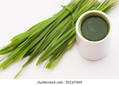 Healthy Way Of Life. Energy From Nature. Ecological Wheat-grass Juice. Regenerate Your Cells  Stop Ageing Processes And Detoxicate Your Body. High Key Isolated On White.