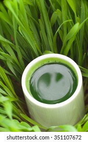 Healthy Way Of Life. Energy From Nature. Ecological Wheat-grass Juice. Regenerate Your Cells  Stop Ageing Processes And Detoxicate Your Body. High Key Isolated On White.