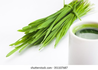 Healthy Way Of Life. Energy From Nature. Ecological Wheat-grass Juice. Regenerate Your Cells  Stop Ageing Processes And Detoxicate Your Body. High Key Isolated On White.