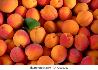 Heap Of Apricots With One Green Leaf, View From Above