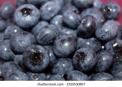 A heap of blueberries fruit in a pink bowl closeup