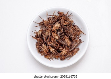 A heap of brown edible crickets in a white ceramic saucer on a white background