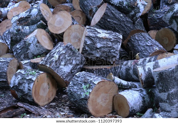 birch wood pieces