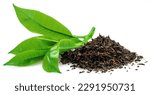 Heap of dried tea and fresh green tea leaves isolated on white background. 