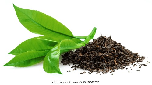 Heap of dried tea and fresh green tea leaves isolated on white background.  - Shutterstock ID 2291950731