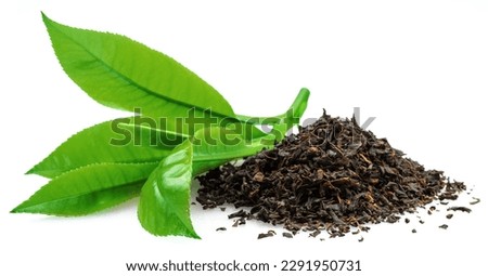Heap of dried tea and fresh green tea leaves isolated on white background. 
