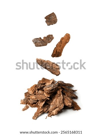 Heap of Dry Pine Tree Bark Pieces Isolated on White. Broken Woods Nature Chip