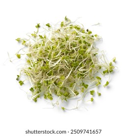 Heap of fresh green Broccoli sprouts close up isolated on white background