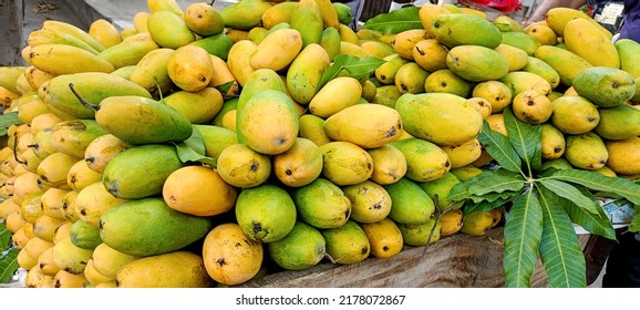 Heap Of Fresh Ripe Yellow Mangoes At Market For Sell In India