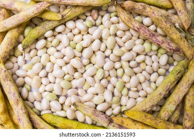 Heap of fresh white coco beans in the pod and peeled, phaseolus vulgaris