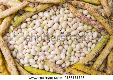 Heap of fresh white coco beans in the pod and peeled, phaseolus vulgaris