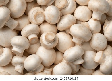 Heap of fresh whole champignons, Button mushrooms, close up full frame as background