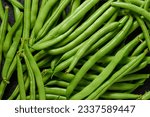 Heap of green pods of raw, not cooked, asparagus beans top view.