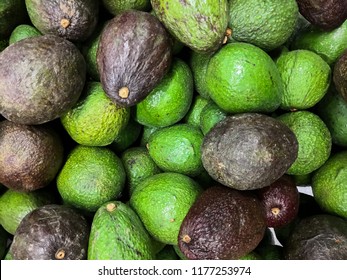 Heap Of Hass Avocado (Bilse Avocado). Dark Green And Green Colored, Bumpy Skin Avocado Cultivar. Persea Americana. Rudolph Hass.