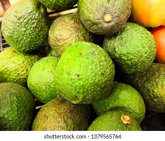 Heap Of Hass Avocado (Bilse Avocado). Green Colored, Bumpy Skin Avocado Cultivar. Persea Americana. Rudolph Hass. Healthy Eating.