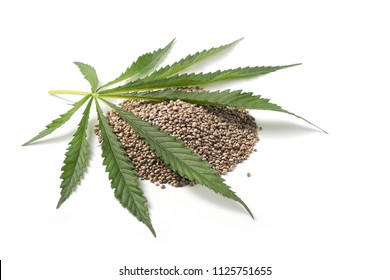 Heap Of Hemp Seeds With Hemp Leaf On White Background. Cannabis Sativa.