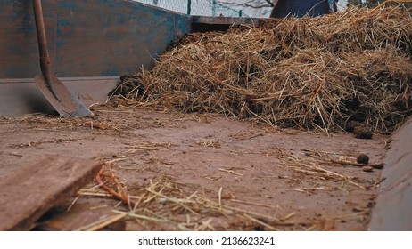 Heap of Horse Manure from Stables Dumped by Paddock in Metal Container