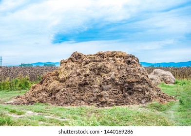 Heap Manure In Field Behind Farm