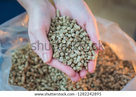 Heap of natural wood pellet for heating in women`s hands. Eco energy concept, bio fuel