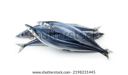A heap of nice shaped Pacific saury (Cololabis saira  mackerel pike  Sanma ) isolated on white.
